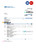 Germany Volksbank Jever statement template in Word and PDF format
