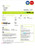 United Kingdom Flow Energy utility bill template in Word and PDF format