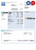USA financial company earning statement template in Word and PDF format, version 2