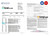 USA Nevada State Bank anytime checking statement, Word and PDF template, 4 pages