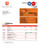 Banque du Caire company account statement Word and PDF template