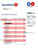 Sparebank 1 firm account statement Word and PDF template