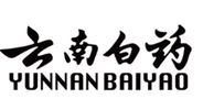 yunnan baiyao shop