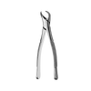 23 Cowhorn Lower Molars Extraction Forceps