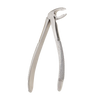 36 Serrated Lower Premolars Extraction Forcep