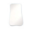 Plasdent Adult Occlusal Intraoral Photographic Mirror, 2 1/3'x 4 3/4'x 3'