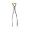 Physics Forceps Molar GMX 400 EZ2