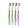 Adult Compact Head Toothbrush Whitening, 36 Tufts, Compact Head, Assorted, 72/Box
