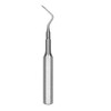 Root Tip Pick West Apical #6  (EW56)