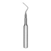 Root Tip Pick West Apical #6  (EW66)
