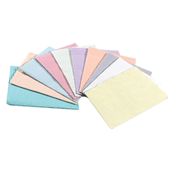 "Econoback" Regular Bibs 500 Pcs. 2-ply paper +1-ply plastic