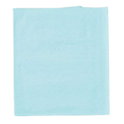 Exam / Stretcher Drape Sheet 40 in x 48 in 2 Ply Blue 100/Case