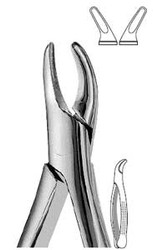 Presidential #150S Upper Incisor, Bicuspids and Roots, Universal Pedodontic