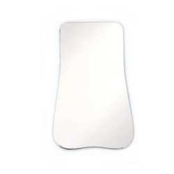 Plasdent Adult Occlusal Intraoral Photographic Mirror, 2 1/3'x 4 3/4'x 3'