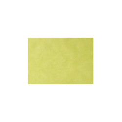 Monoart Tray Paper Lime Tray Paper, 250/Box