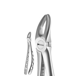 X-Trac Forceps Upper Universal, 1st Molar
