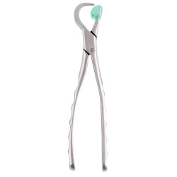 Physics Forceps Standard Right GMX 100