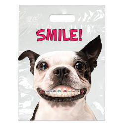 Specialty Bags 250 Count Dog with Braces, 9" x 13", 250/Pkg.