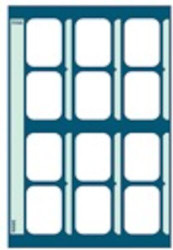 Pocket X-Ray Mounts Masked Pocket, 12H, 100/Pkg.