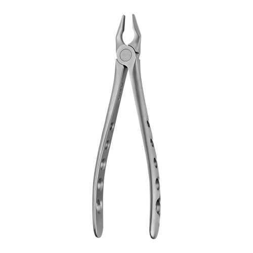 1 Apical Upper Incisors Atraumair Extraction Forceps