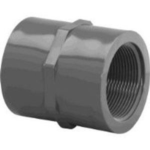1/4" Threaded Coupling Fipt x Fipt CPVC Fitting Schedule 80
