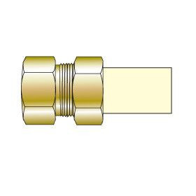 3/4" CTS CPVC Transition Union with Brass Female Thread TUF-007