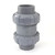 1" CPVC True Union Ball Check Valve - Socket / EPDM