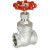 2" Sharpe 316 Stainless Steel Gate Valve - SV30276TE020