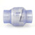3" Clear PVC Swing Check Valve - Threaded (S1520C-30F)