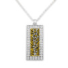 Iowa Hawkeyes Crystal Zebra Rectangle Drop Necklace