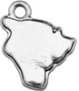 Souvenir & Travel Accent Charm- States- Hawaii