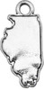 Souvenir & Travel Accent Charm- States- Illinois