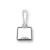 ♥Charming Choices Charms- States♥