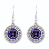 Central Arkansas Bears Earrings- Abby Girl