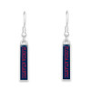 Florida Atlantic Owls Earrings- Nameplate