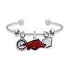 Arkansas Razorbacks Pro Package Assortment