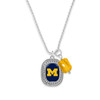 Michigan Wolverines Pro Package Assortment Michigan Wolverines Pro Package Assortment