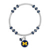 Michigan Wolverines MVP Package Assortment Michigan Wolverines MVP Package Assortment