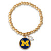 Michigan Wolverines Hall of Fame Package Assortment Michigan Wolverines Hall of Fame Package Assortment