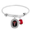 Texas Tech Red Raiders Pro Package Assortment