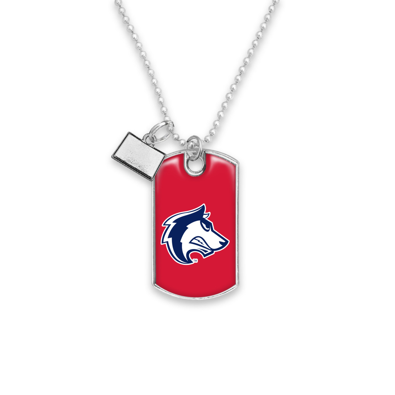 Colorado State Pueblo Thunderwolves Car Charm- Rear View Mirror Dog Tag with State Charm