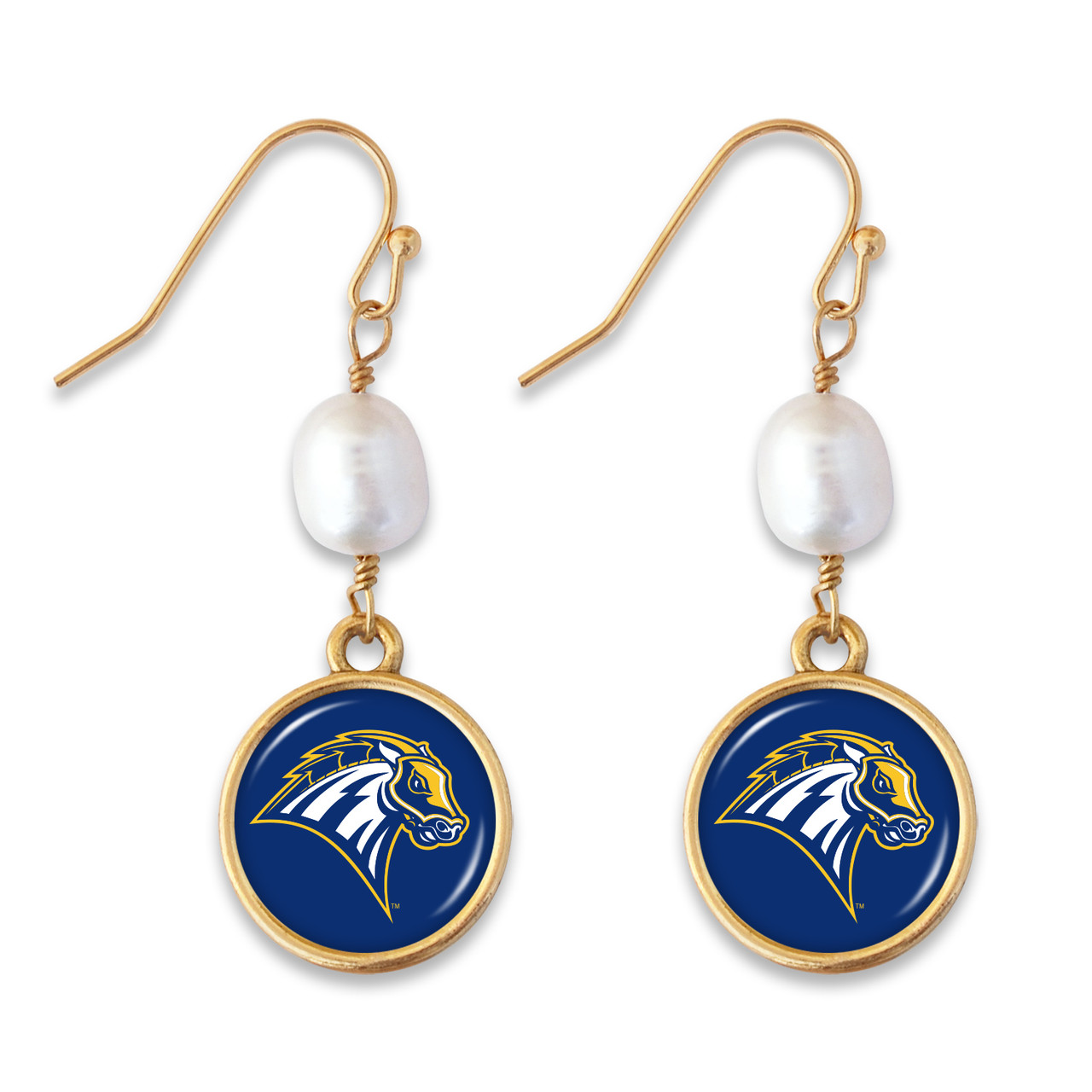 New Haven Chargers Earrings - Diana