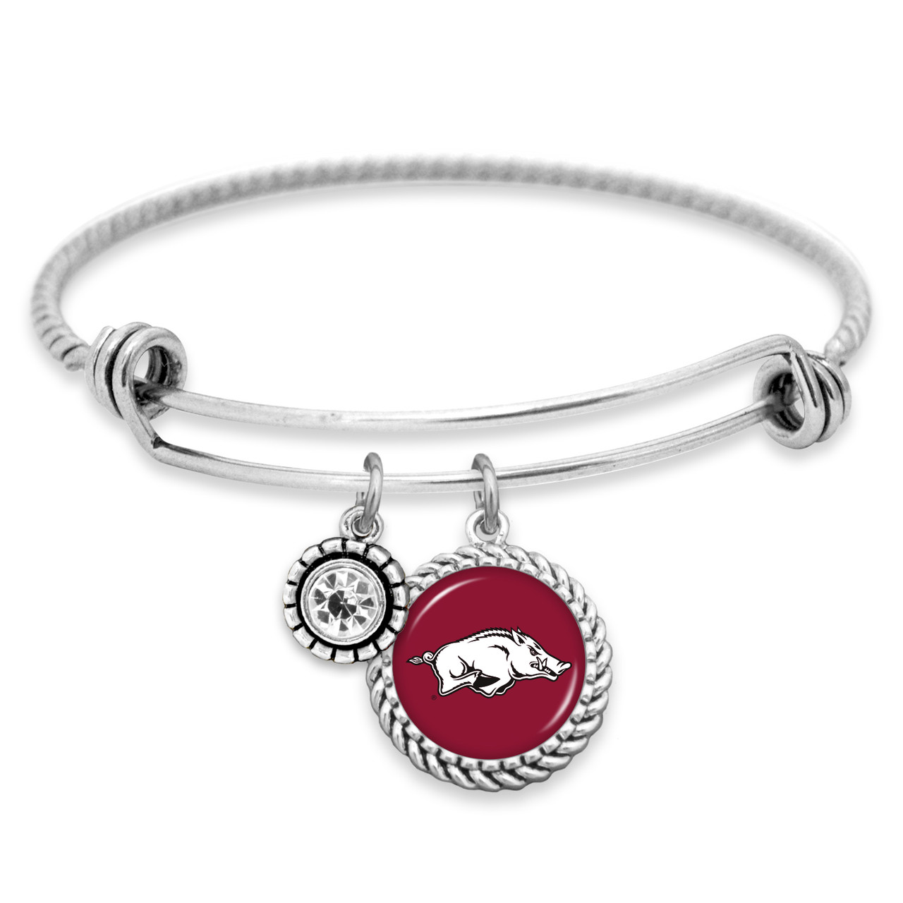 Arkansas Razorbacks Pro Package Assortment