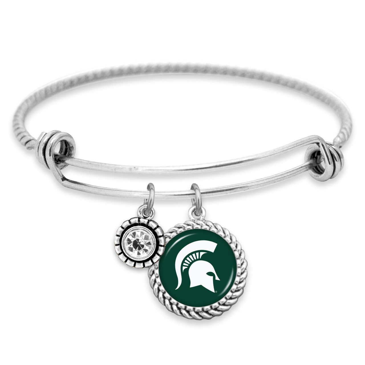 Michigan State Spartans Pro Package Assortment