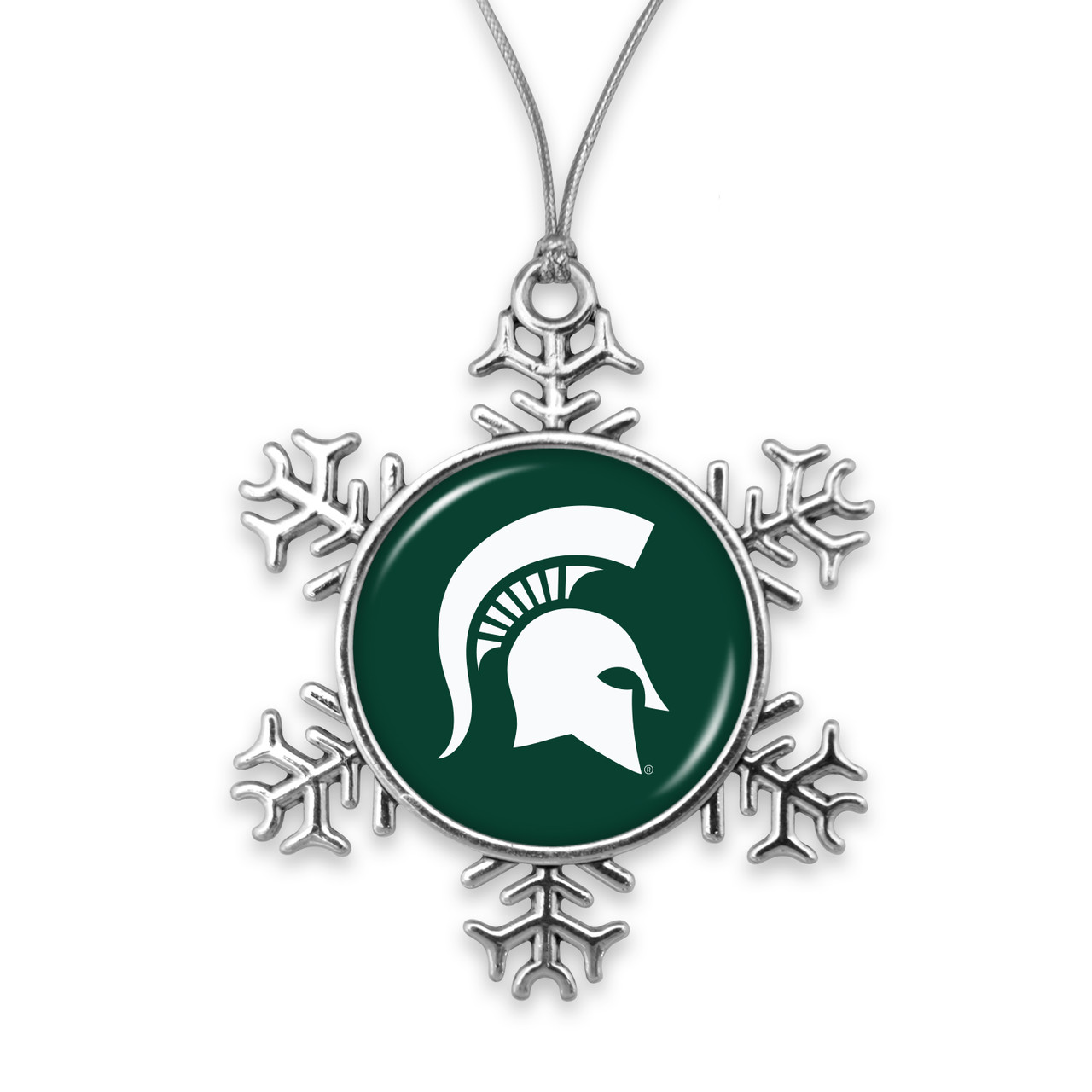 Michigan State Spartans Hall of Fame Package Assortment Michigan State Spartans Hall of Fame Package Assortment