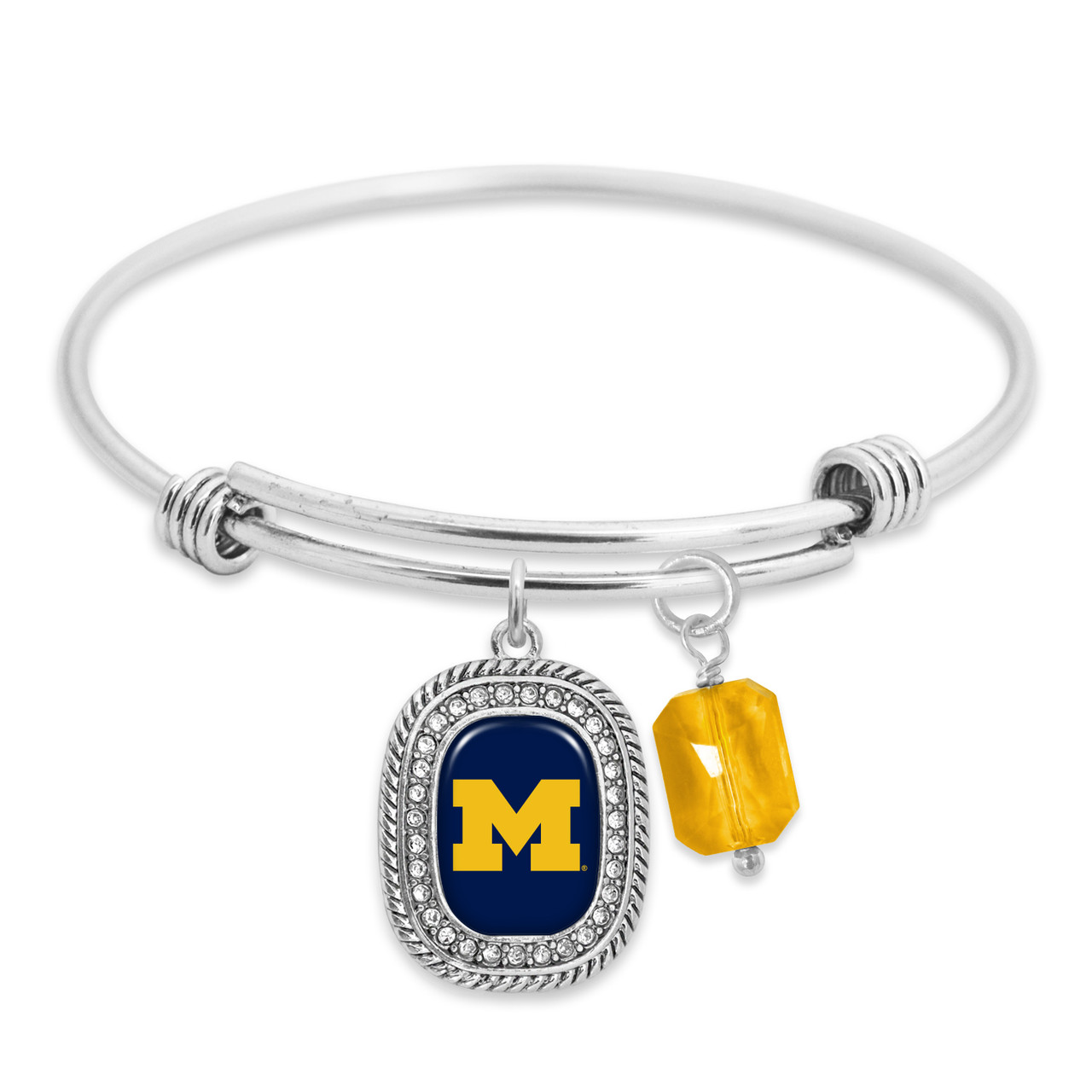 Michigan Wolverines Pro Package Assortment Michigan Wolverines Pro Package Assortment