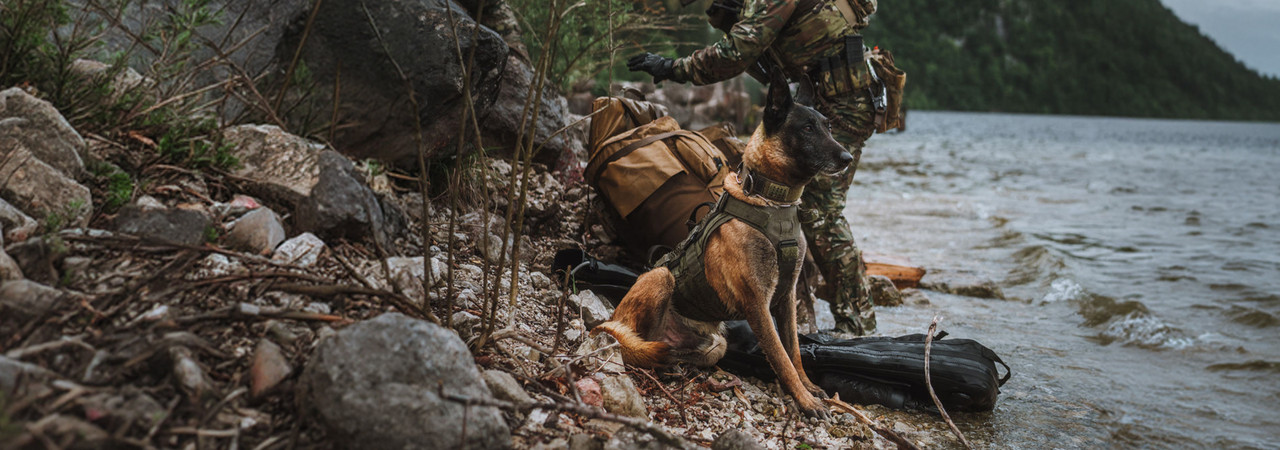 Recon K9 manufactured by FirstSpear, explore the tactical gear for your canine.