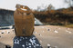 Loose Ammo Bag w/ ID Pocket and Legend Window