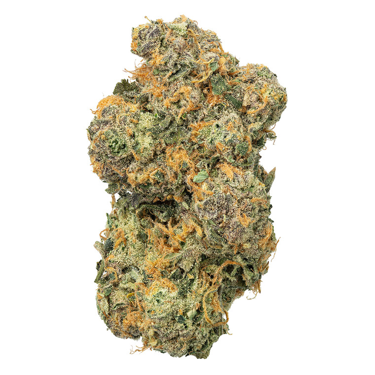 Gelato Z