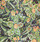 Silk Frontier Calico Scarf 306606